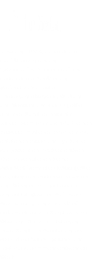 ...Birte Sedat, Jahrgang 1973, arbeitet als Grafikdesignerin und Szenografin. Nebenberuflich gestaltet sie Masken und verfasst dazu Texte. Entstehungskonzept, Wirkung und Verwendung der Objekte sind der Künstlerin wichtig. Jedes Exemplar durchläuft einen Prozess im Atelier. Parallel dazu entstehen Prosa und Lyrik, die zur jeweiligen Maske gehören. Die Larven stellen keine zweckentfremdete Dekoobjekte dar, sondern lassen sich tragen und können im Theaterspiel eingesetzt werden. Auf ihrem Atelierblog „Handgedanken“ dokumentiert die Künstlerin mit Wort und Bild die Entstehung ihrer Kunst. In Ausstellungen zeigt Birte Sedat Exponat und Text als zusammengehörendes Werk.